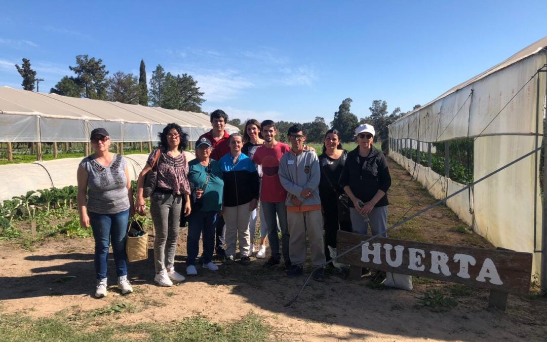 TALLER MUNICIPAL DE HUERTA