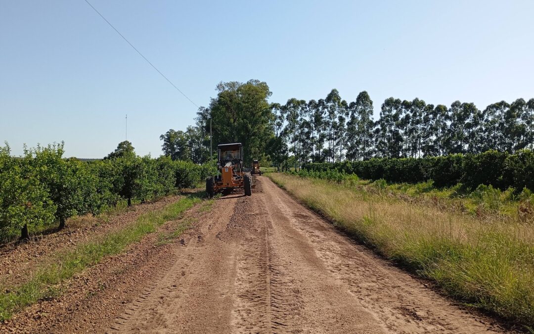 MANTENIMIENTO DE CAMINOS RURALES