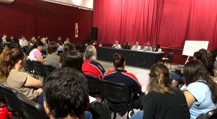 RED INTERINSTITUCIONAL ABORDAJE SALUD MENTAL