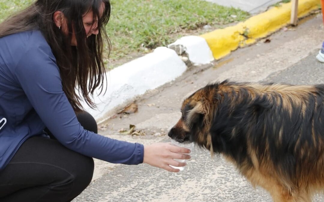 SORTEO DÍA DEL ANIMAL