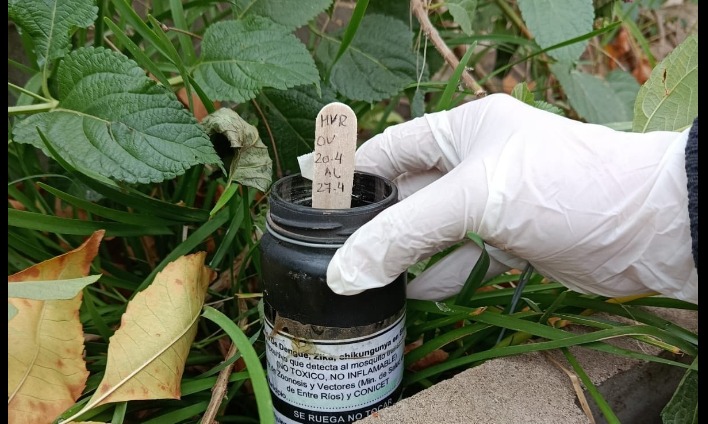 PREVENCIÓN DEL DENGUE