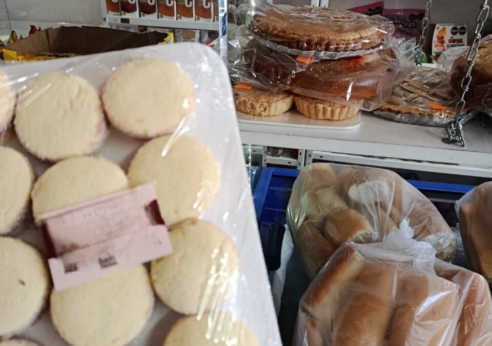 INSPECCIONES BROMATOLÓGICAS