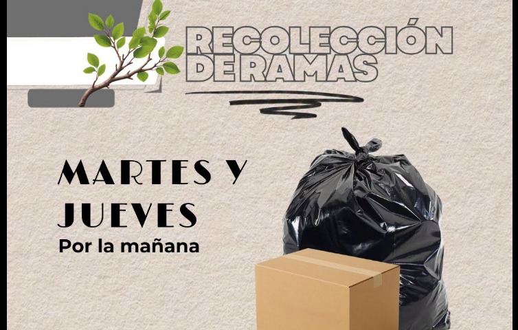 RECOLECCIÓN DE RAMAS