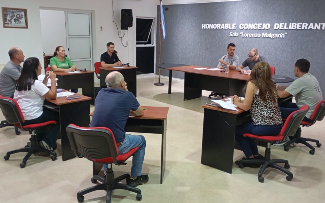 14° SESION ORDINARIA HCD